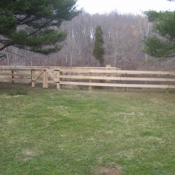 backyard wood fence