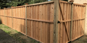 Backyard privacy wooden fence