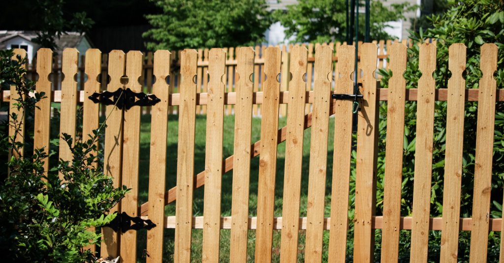 Yard protected by natural picket fence