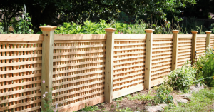 Wooden high fence protecting backyard