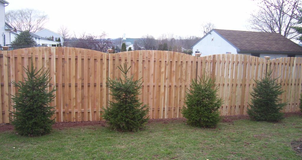 curved wooden privacy fencing