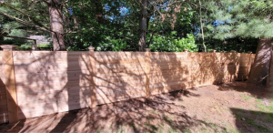 modern horizontal fence wood design in backyard